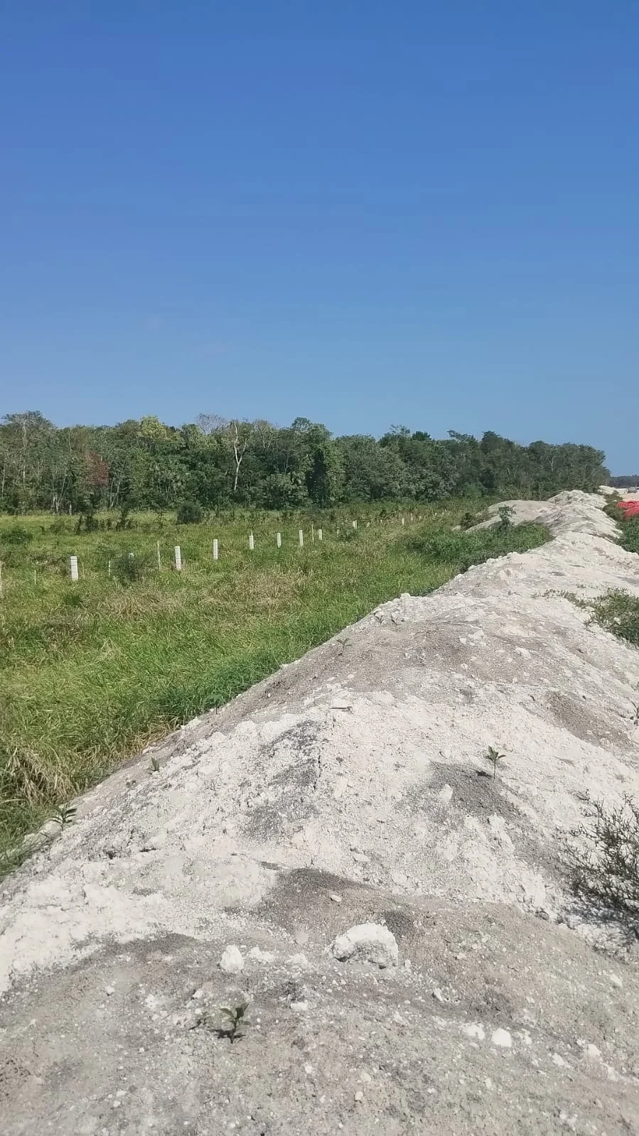 Confinamiento del derecho de vía con postes de concreto · Tren Maya